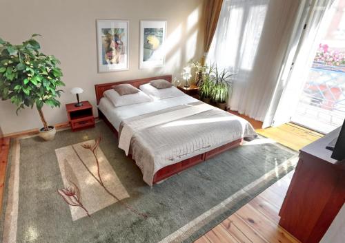 1 dormitorio con 1 cama grande y 1 alfombra en Havana en Breslavia