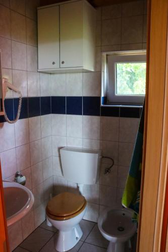 a bathroom with a toilet and a sink at Počitniška hiška pod Hadikom in Lendava