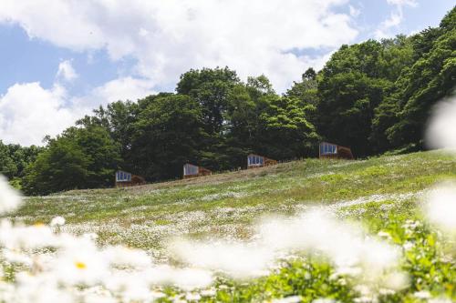 a field of flowers on a hill with trees at Earthboat Minakami Fujiwara in Sudagai