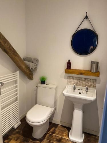 a bathroom with a toilet and a sink at Le Moulin du Clapier - La Ficelle in Sorges