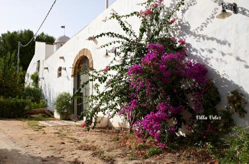 Baglio "Villa Velez" – Photos 5