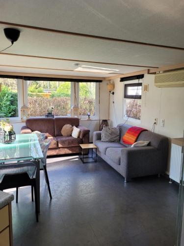 a living room with two couches and a table at Gezellig chalet voor gezinnen op de Veluwe I Veldkamp F16 in Epe
