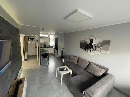 Apartament na Ogrodach