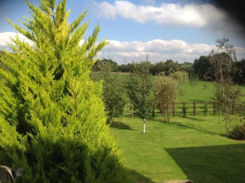 Gallery image of Crannaford Cottage in Broad Clyst