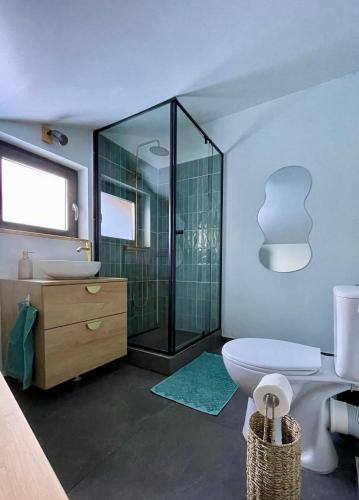 a bathroom with a shower and a toilet and a sink at Cranberry Cabin Buscat in Muntele Băişorii