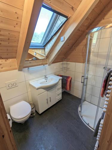 a bathroom with a toilet and a sink and a shower at Studio DG für 1 Person in Kelheim
