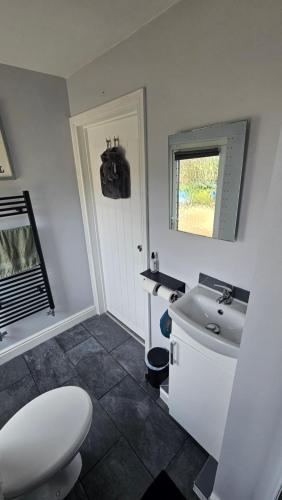 a bathroom with a white toilet and a sink at Hadrians wall studio in Carlisle