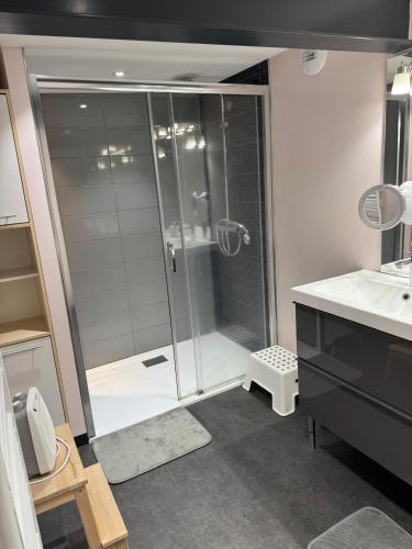 a bathroom with a shower and a sink at Résidence du Champ Lamet in Pont-du-Château