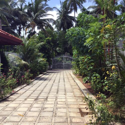 a gate in a garden with palm trees and plants at Siroma Villa in Bentota