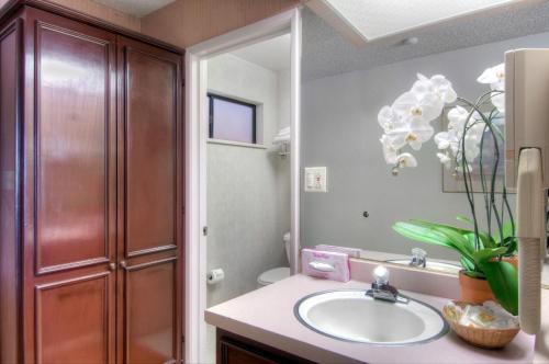 a bathroom with a sink and a mirror at County Inn in Mountain View