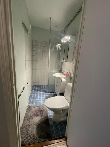 a bathroom with a toilet and a sink at Apartment with a wonderful location! in Lappeenranta