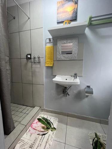 a bathroom with a sink and a shower at Cottage 49 in Parys