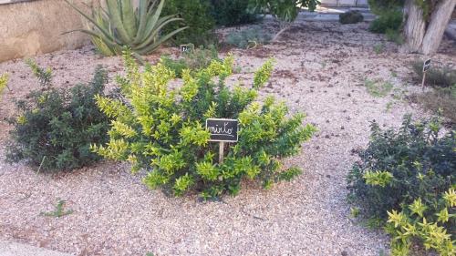 a garden with a small sign in a bush at Biblos e Mare in Taranto