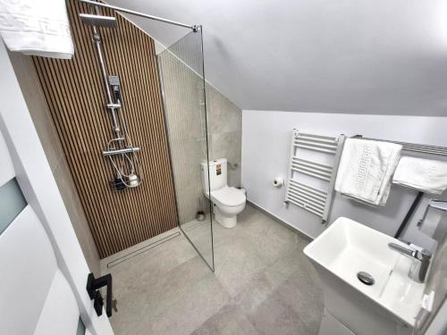 a bathroom with a shower and a toilet and a sink at Central Stay Suites Targu Mures in Târgu-Mureş