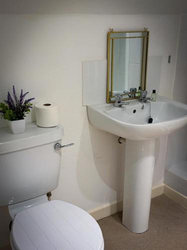 a white bathroom with a toilet and a sink at The Flat in Tintinhull