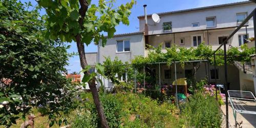 Apartments in Veli Losinj 33612