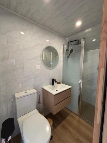 a bathroom with a toilet and a sink and a shower at Le gîte de la courte soupe in Éteignières