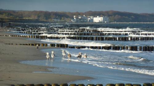 a group of people walking on the beach at Reethaus Casa Baltica in Börgerende-Rethwisch