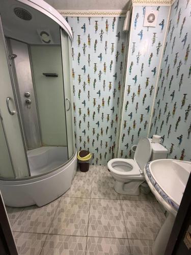 a bathroom with a shower and a toilet and a sink at Apple Hostel Cholpon Ata in Cholpon-Ata