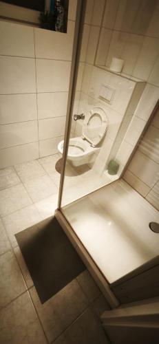 a bathroom with a toilet and a sink at OneRoomStay in Delmenhorst