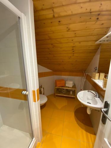 an attic bathroom with a toilet and a sink at Apartmán U Šáfy, Krkonoše in Svoboda nad Úpou
