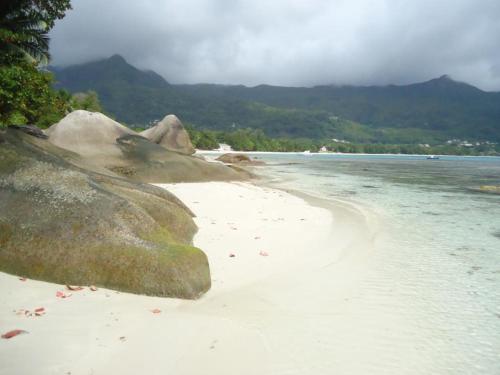 a beach with some rocks and the water and the ocean at La Batie selfcatering Apartment in Beau Vallon