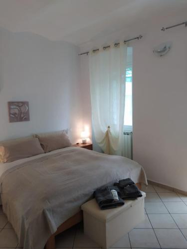 a bedroom with a large bed and a window at Isabella in Vallebona