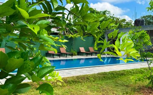 a swimming pool surrounded by green plants at Aloria Sigiriya in Sigiriya