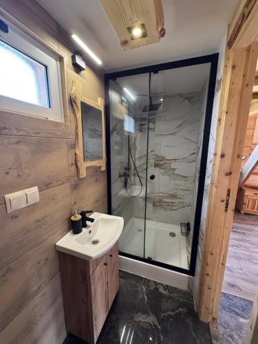 a bathroom with a shower and a sink and a toilet at Ranczo Rico in Baryczka
