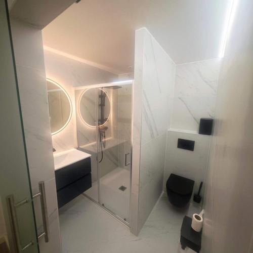 a white bathroom with a shower and a toilet at Le onze in Namur