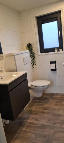 a bathroom with a toilet and a window at Het Wellnesstje in Teuge