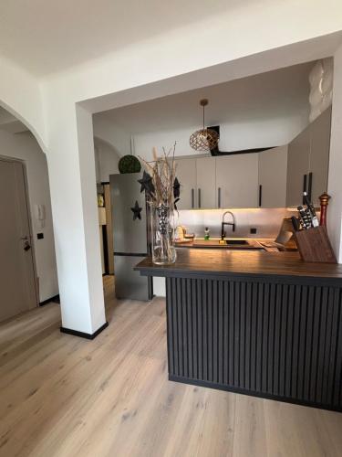 Luxury, newly renovated, 2-room apartment, Banana