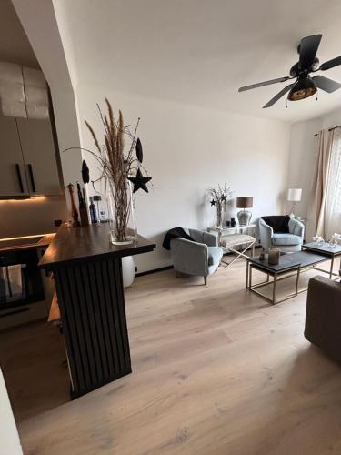 Luxury, newly renovated, 2-room apartment, Banana