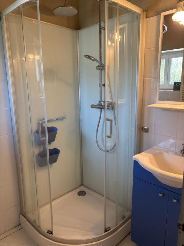 a bathroom with a shower and a sink at Gites de la Haie in Plouégat-Moysan