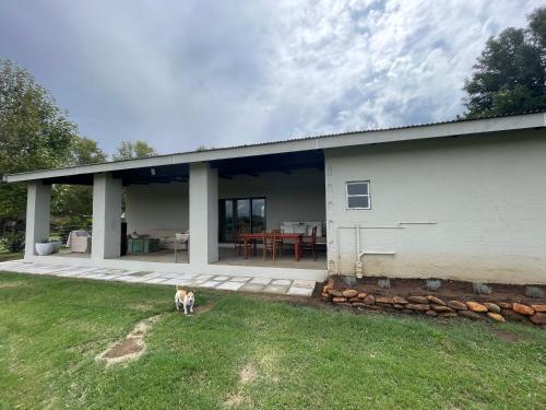 a dog standing in the grass in front of a house at Pecan Tree Haven in Winterton