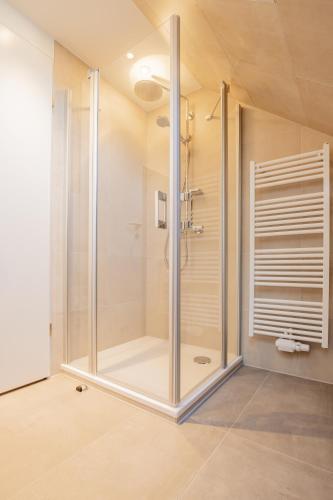 a shower with a glass door in a bathroom at BSW Ferienwohnungen Hiddensee in Hiddensee