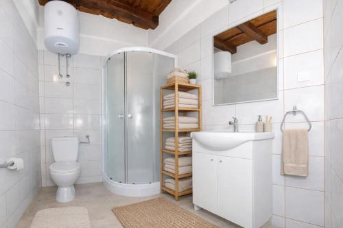 a bathroom with a shower and a toilet and a sink at Didovi dvori in Bibinje
