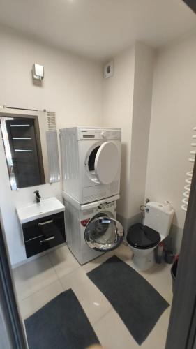 a small bathroom with a toilet and a sink at YoniHarmony - 2 parking places in Sosnowiec