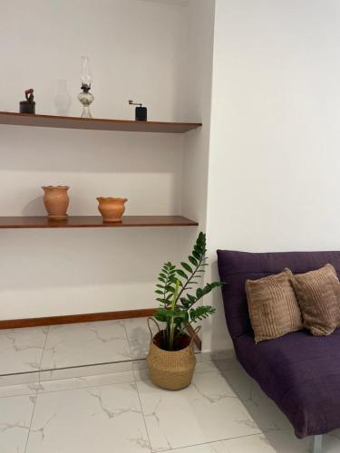 Apartamentos Andrade