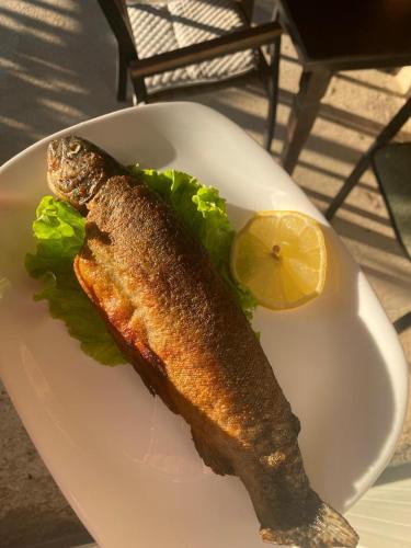 a fish on a plate with lettuce and a lemon at Camping Koman in Koman
