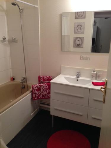 a bathroom with a sink and a tub and a mirror at Albi-Suite in Albi