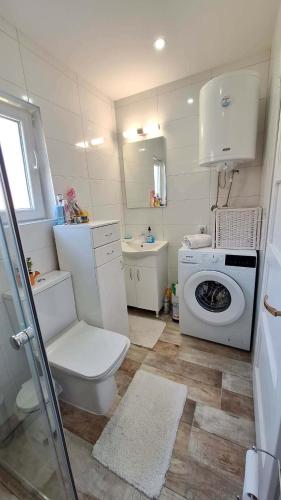 a bathroom with a toilet and a washing machine at Seosko domaćinstvo Rada in Papratište