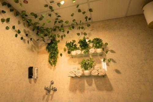 a bathroom with two shelves with plants on the wall at Spectrum Mall 1BHK Balcony Suite in Noida