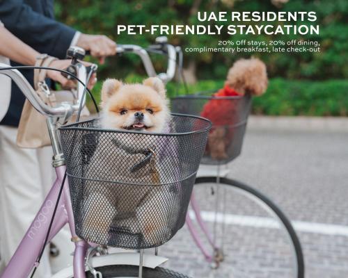 a small dog sitting in a basket on a bike at Hotel Boulevard, Autograph Collection, Downtown Dubai in Dubai
