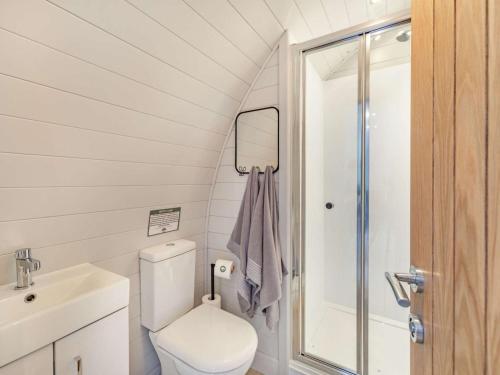 a bathroom with a toilet and a sink and a shower at 1 Bed in Consett oc-87934 in Shotley Bridge
