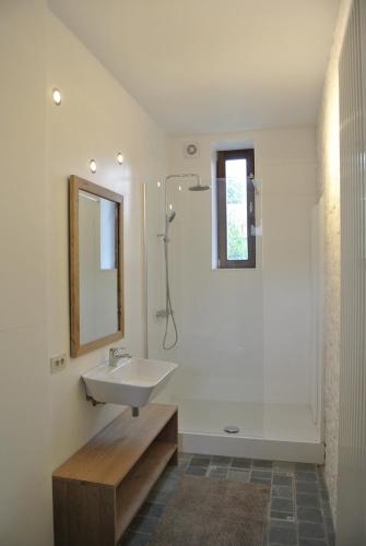 een badkamer met een wastafel, een spiegel en een bad bij De Buur Van Beer in Ieper