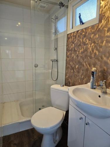 a bathroom with a toilet and a sink and a shower at Houten Chalet nabij Beekse Bergen in Hilvarenbeek