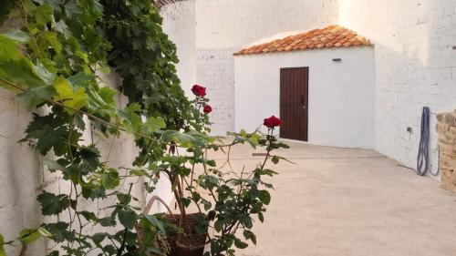 a corridor of a white building with red roses at Casa Rural Las Camilas- Sierra de Alcaraz in Vianos