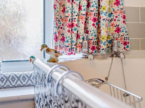 two birds sitting on a kitchen counter next to a window at 2 Bed in Consett oc-96375 in Hunstanworth