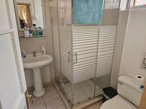 a bathroom with a shower and a toilet and a sink at Quinta Adela Bed & Breakfast in San Pedro de Atacama